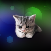 Sleepy Kitten Wallpaper Lite