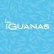 My Iguanas