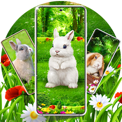 Download Cute bunny easter wallpapers (230).apk for Android 