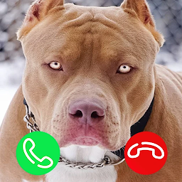 Icon image Pitbull Fake Video Call Game