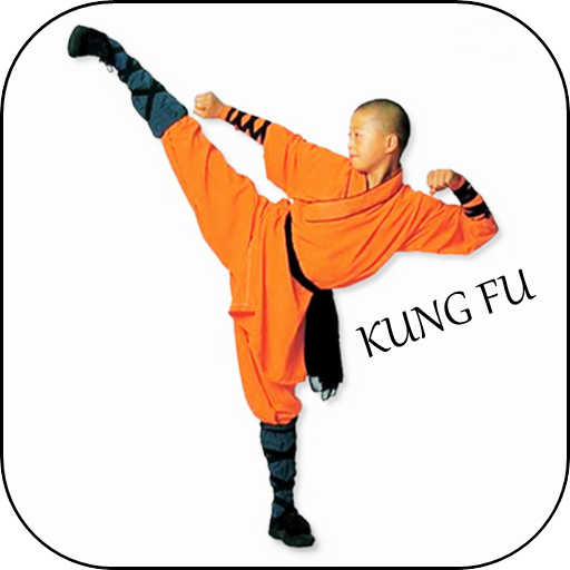 Learn Kung fu easy logo