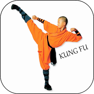 Learn Kung fu easy apk