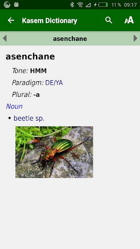 Kasem dictionary Screenshot 4 - AppWisp.com