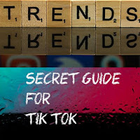 Secret Guide For Tiktok