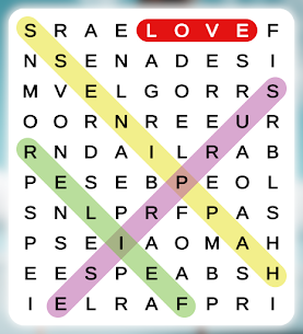 Word Search – Puzzle Game 13