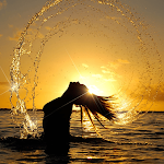 Live Water Wallpaper Apk