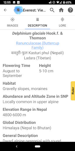 Screenshot of Wildflowers of Mount Everest
