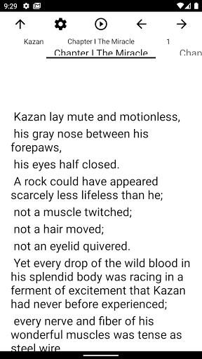 Book, Kazan Screen 2