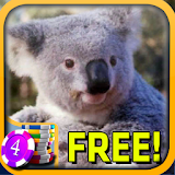 3D Koala Slots - Free icon