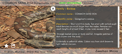 Snakes eGuide Screen 3