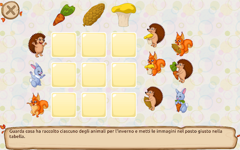 Immagine screenshot