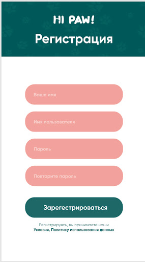 HiPaw Screen 2