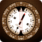 Compass 360 pro icon