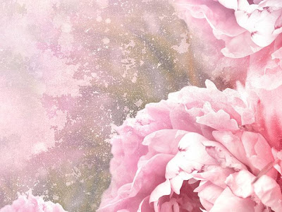[最も共有された！ √] 薔薇 壁紙 無料 772166