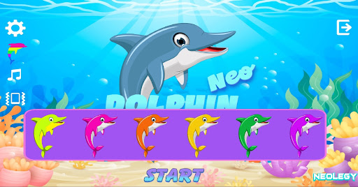 Dolphin Screen 2