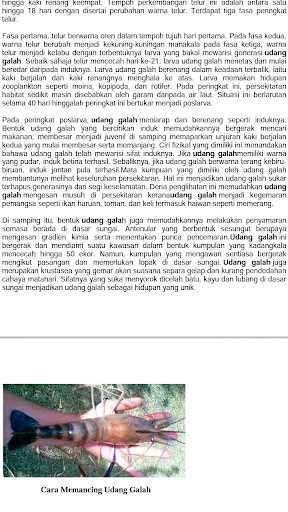 TIPS & TEKNIK - Memancing (PRO Screen 3