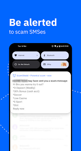ScamShield Screen 3