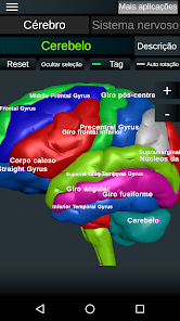 Imagem da captura de tela