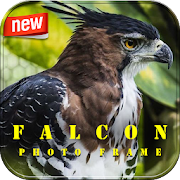 Falcon Photo Frame  Icon