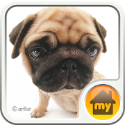 Top 39 Personalization Apps Like THE DOG-Pug- Theme - Best Alternatives