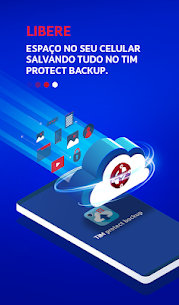 TIM protect backup For PC installation