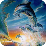 Dolphins live wallpaper icon