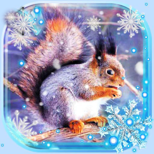 Winter Squirrel Forest 1.13 Icon