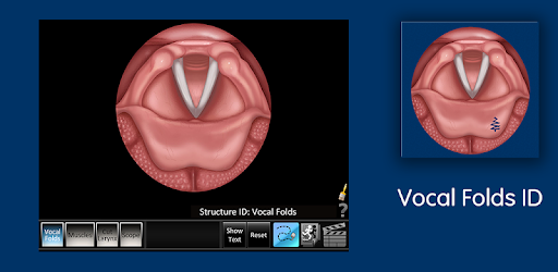 Vocal Folds ID