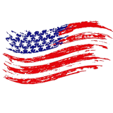 Patriot Freedom Network icon