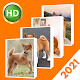 Shiba Inu Wallpaper - HD Wallpapers Download on Windows