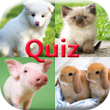 Pics Animals Quiz icon