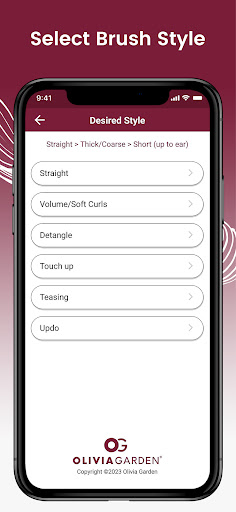 Hair Brush Guide Screen 2