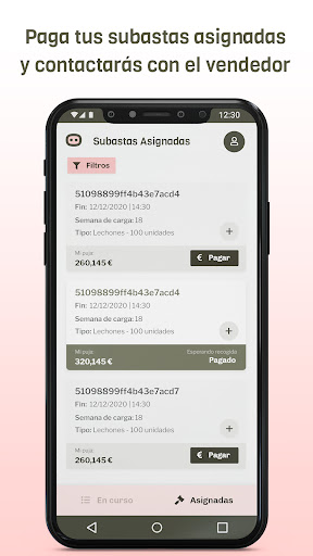 Mercopig Screen 3