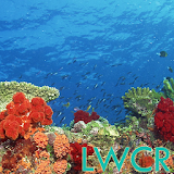 underwater coral reef lwp icon