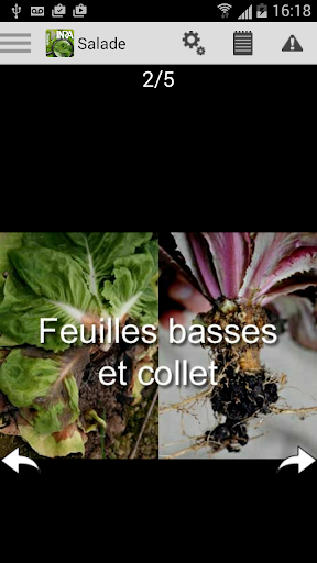 Di@gnoPlant Salade Screen 2