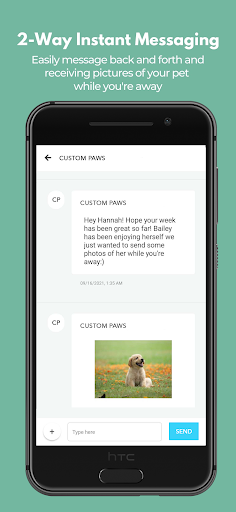 Screenshot of Custom Paws