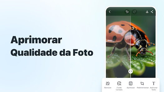 Imagem da captura de tela