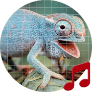 Top 14 Lifestyle Apps Like Reptile sounds ~ Sboard.pro - Best Alternatives