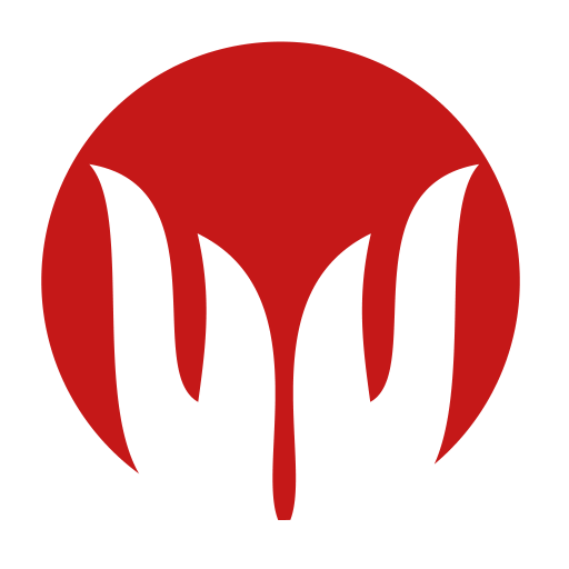 MAGNIFICAT Project logo