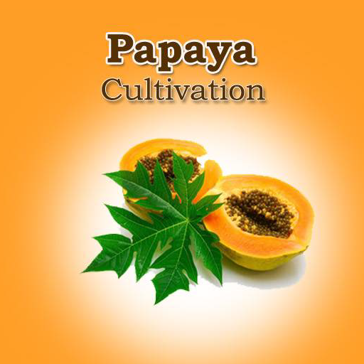 Papaya Cultivation IIHR logo