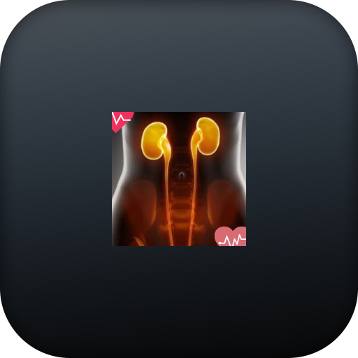 .Whats the kidney patient eating