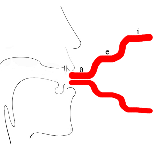 Phonetic Spectrogram logo