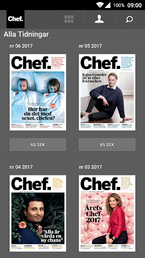 Tidningen Chef Screen 2