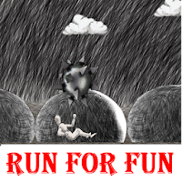 Most Expensive Run For Fun