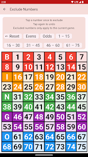 Bingo Caller 4