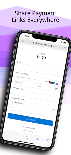 PaymentWiser - Stripe Payments Screenshot 4 - AppWisp.com