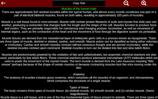 Muscular System 3D (anatomy) 2.0.8 Screenshots 15