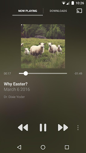 Ask Dr. Dixie Screen 3