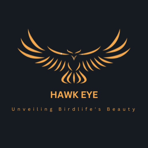 Hawk Eye logo