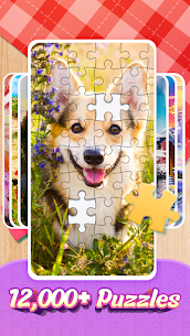 Jigsawscapes – Jigsaw Puzzles 1